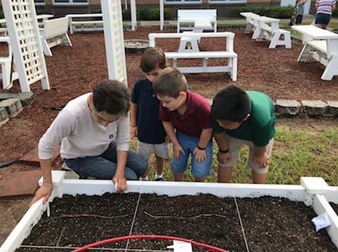 Children and instructor engaging in gardening activities